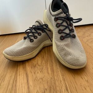 Allbirds Stylish Gray Men's Shoes